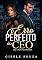 Livro O Erro Perfeito do CEO