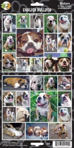 Pet Qwerks S18 English Bulldog Dog Sticker