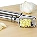 Stainless Steel Garlic Press and Silicone Peeler Set from Kitchen Fanatic
