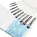 Craftamo Paint Brush Set. 10 Professional Paint Brushes for Artists. Use as Watercolor Brushes, Acrylic Paint Brushes, Oil Paint Brushes and Face Paint Brushes.