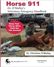 911 emergency vet