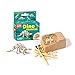 Mini Dino DIG! dig Dinosaur Fossil Toys & Assembly Kit Toys, 4 Styles. Dinosaur Skeleton dig kit