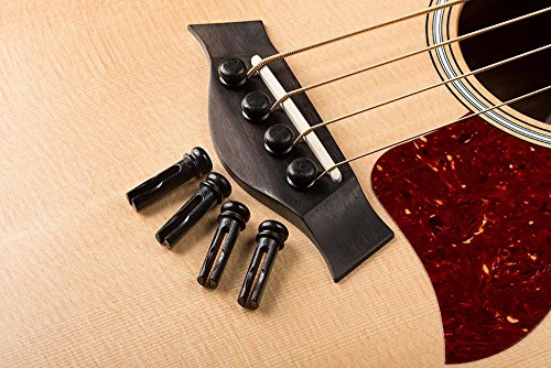 5 Taylor+GS+Acoustic+Electric+Bass+Regular