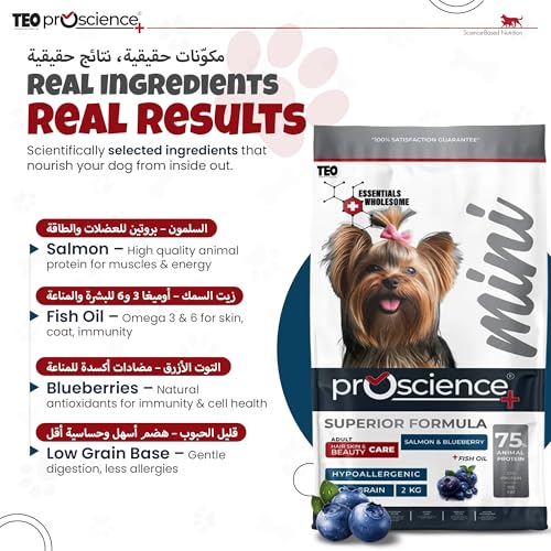 Teo Premium Proscience Mini Adult Dog Food 2KG Salmon & Blueberry, Hair, Skin & Coat Care, 75% Animal Protein, Hypoallergenic, Omega-Rich Formula 32% Protein 15% Fat
