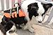 Dog Life Jacket with Reflective Strips for Dogs, Bright Color Safety Vest, Orange L