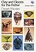 Clay and Glazes for the Potter (Chilton's creative crafts series)