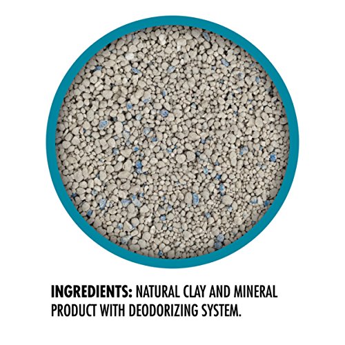 Purina Tidy Cats Light Weight, Low Dust, Clumping Cat Litter, LightWeight Instant Action Multi