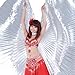 BellyLady Belly Dance Costume Isis Wings With Sticks, Egyptian 360 Degrees Wing GOLD
