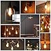 Antique LED Bulb, SHINE HAI 4W (40W Equivalent) ST64 Vintage Edison Light Bulb LED Lighting, 470 Lumen 2200K Warm White E26 Base, Pack of 6