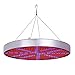 EAUOH LED Grow Lights, 50W Red and Blue Spectrum Plant Lamp for Hydroponics,Organic Plants in Indoor Gardening,Greenhouse from Seeds Starting,Germination,Flowering and Harvest