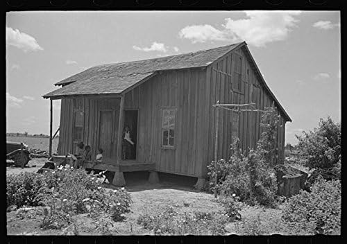 Photographs - HistoricalFindings Photo: Sharecropper Home,New Madrid County,Missouri,MO,Farm Security Administration,1