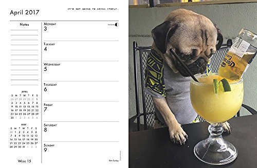 Doug-the-Pug-2017-Engagement-Calendar Doug-the-Pug-2017-Engagement-Calendar