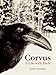 Corvus: A Life with Birds by Esther Woolfson