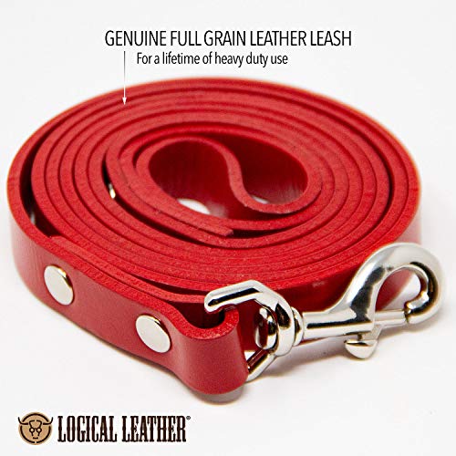 logical leather leash