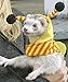 Marshall Ferret Bee Costume