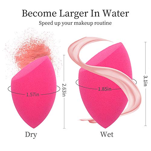Makeup Sponges 4 Pcs With 1 Sponge Holder,Latex Free Foundation