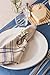 DII French Stripe Tabletop Collection Farmhouse Style Dining Table Linen Napkin Set, 20x20, Taupe/Blue, 6 Piece