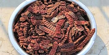 PURE & NATURAL SHIKAKAI RED 100 GM