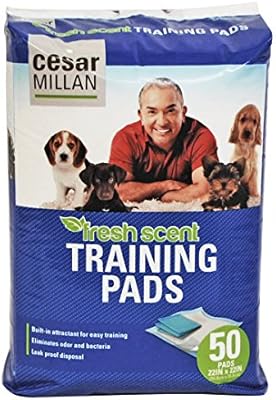 cesar millan training pads