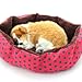 Masione Pet Bed Dog Puppy Cat Soft Cotton Fleece Warm Nest House Mat (Red)