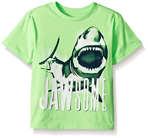 The Children's Place Big Boys' Shark Graphic T-Shirt, Sample/Dye Energy Green, XL (14)