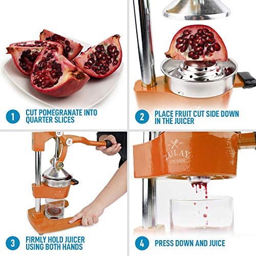 Zulay Professional Citrus Juicer Manual Citrus Press and Orange