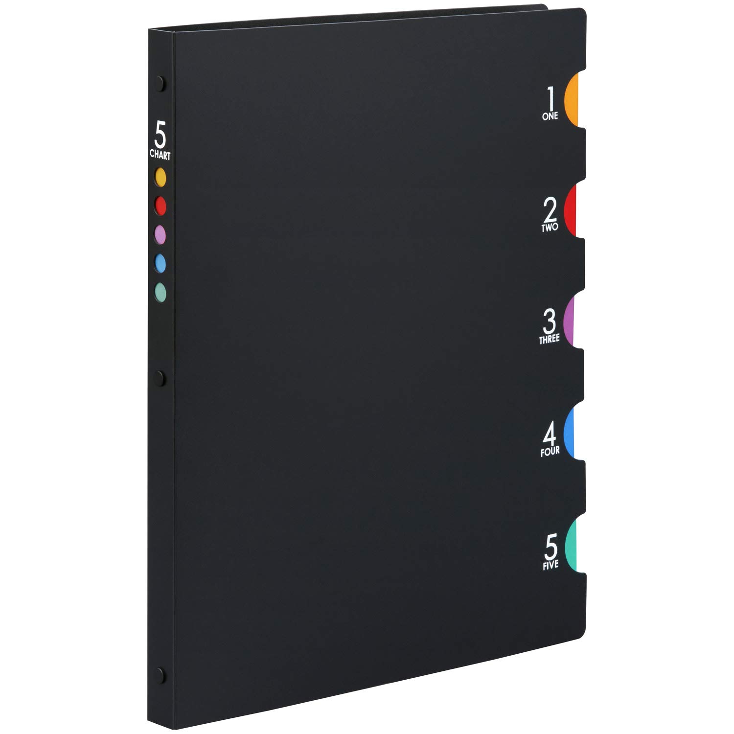 Maruman Five Chart 30-Ring Binder, A4, Black