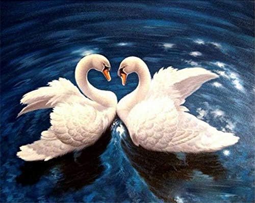 JOLOMOY Paint by Numbers Kits for Adults, DIY Digital Oil Painting by Number for Kids Beginner - Swan Lovers in Deep Blue Lake 16X20 inch Number Painting (Frameless)