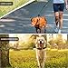 PetBemo Hands Free Leash - Multifunctional Training Leash 6.2ft Nylon Dual Leash Fits Puppy, Small & Large Dogs for Running, Jogging or Walking
