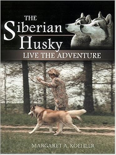 The Siberian Husky: Live the Adventure �y�[�p�[�o�b�N  - 2004/7/1