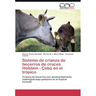 Sistema de crianza de becerros de cruces Holstein - Cebú en el trópico Sistema de crianza de becerros de cruces Holstein - Cebú en el trópico