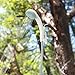 ProduTrend Portable Outdoor Shower for Instant Shower Stream, Battery Powered Handheld Shower Ideal for Indoor, Camping, Beach, Road Travel, and More, Includes USB Charging Plug