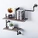 FOF FRIEND OF FAMILY Reclaimed Wood & Industrial Heavy Duty DIY Pipe Shelf Shelves Steampunk Rustic Urban Bookshelf Real Wood Bookshelves and bookcases (2 Tier)