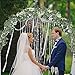 SUPLA 2 Pcs Faux Silver Dollar Eucalyptus Leaves Greenery Garland Total 12Ft Long Artificial Eucalyptus Twig Vine Garland Decorative Fake Hanging Eucalyptus for Greenery Decor Wedding Floral Mantle