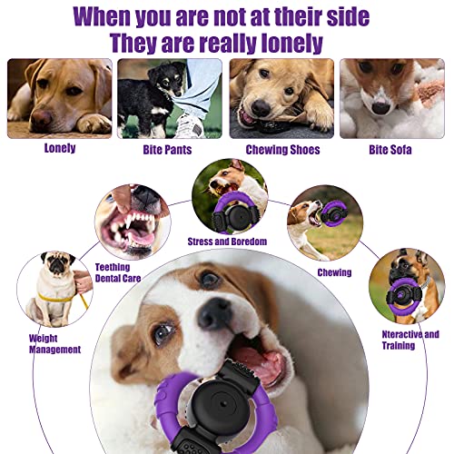 Dog Toys for Aggressive Chewers Large Breed, Dog Squeaky Toys，Dog chew Toys for Large Dogs Interactive Aggressive chewers for Dog Birthday