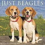 Just Beagles 2020 Wall Calendar (Dog Breed Calendar) by 