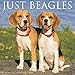 Just Beagles 2020 Wall Calendar (Dog Breed Calendar) by 