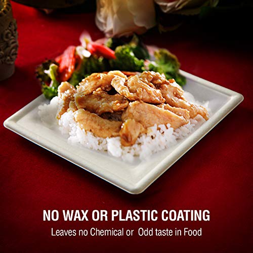 Kikigreen Bagasse Square Compostable Plates [100-pack] Dessert Disposable White Paper Plates Made Of Sugarcane (10 and 7 inch) - Thumbnail 4