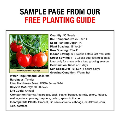 Survival Garden Heirloom Seeds Non GMO 105 Varieties of Herb, Fruit