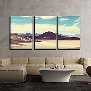 3 Piece Canvas Wall Art - Landscapes in Northern Argentina - Modern Home Art Stretched and Framed Ready to Hang - 16"x24"x3 Panels
