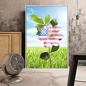 Floating Framed for Living Room Bedroom American Flower for