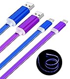 CELLTRONIX® 2 Pack Changing LED Light Visible in the Dark Light-up USB Data Sync Charger Cable Charging Cord for Apple iPhone 6S 6 6S Plus 5/5S/5C (Blue/Purple)