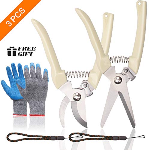 Baffsan 3 Pcs Garden Shears Set, Sharp and Hard Stainless Steel Pruning Shears, Garden Cutter Pruner, Garden Grafting Scissors Fruit Picking Pruning Tools