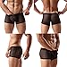 Men's Underwear Sexy Mesh Breathable Boxer Briefs Low Rise Cool Boxers Pack Set