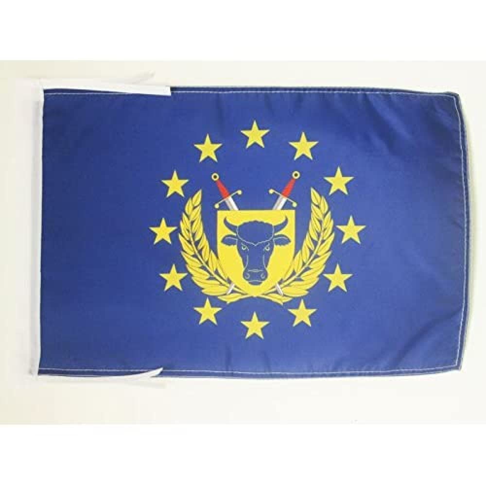 AZ FLAG - European Army Flag - 18'' x 12'' - 100% Polyester Army of Europe Small Banner with Two Cords - Fade Resistant - Vivid Colors - 18x12 in - 45x30 Cm — image 1