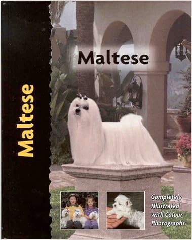 Maltese �n�[�h�J�o�[ - 2000/8/24