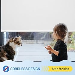 Motorized Blinds with Remote, [Free Solar