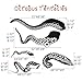 Tentacles Wall Decal Kraken Octopus Tentacles Wall Sticker Sea Animal Wall Decal Mural Home Art Decor Black