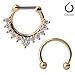 Ruifan 16G Horseshoe Circular Barbell and Nose Ear Daith Septum Clicker Ring with Clear CZ Gems 316L Surgical Steel 2PCS - Gold