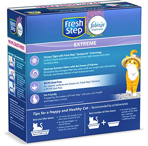 fresh step mediterranean lavender